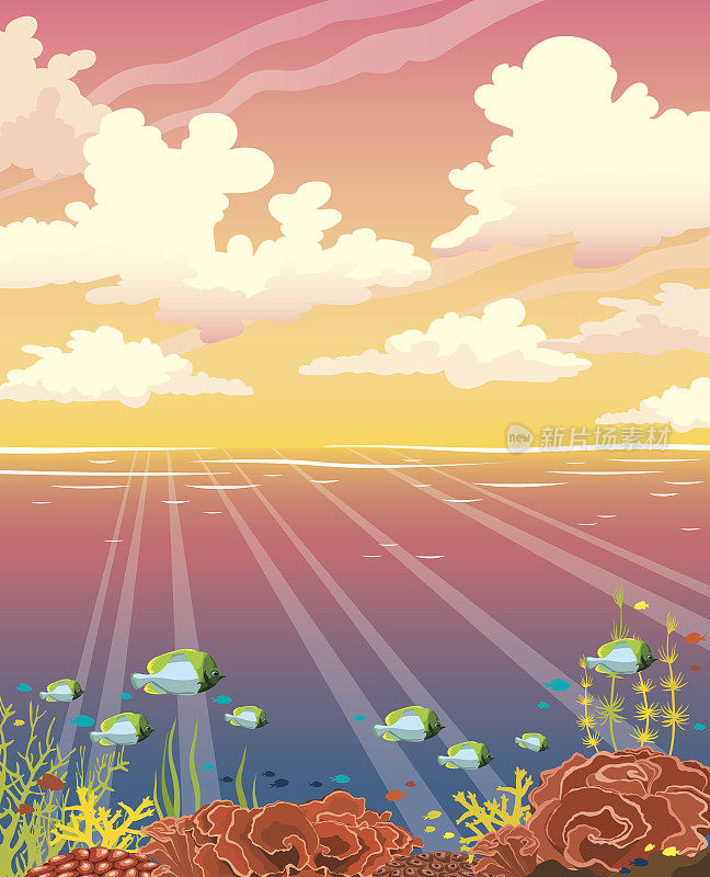 Underwater coral reef, fish, sea, sunset sky, clouds.